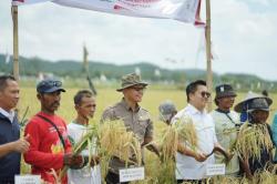 Jadi Penyuplai Bahan Pangan Terbesar Kaltim, Samsun: Kukar di Puncak Prestasi