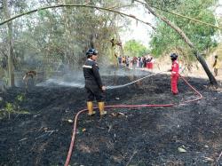 Darurat Kebakaran Lahan di Kuningan, 130 Kejadian Lebih Sepanjang 2023