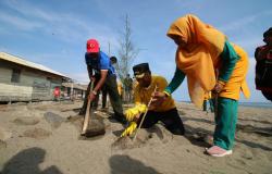 Emak-emak Bersama Pj Walikota Lhokseumawe Kutip Sampah dan Tanam Pohon di Tepi Pantai