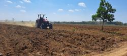 PT BSA berikan Tali Asih Tanam Tumbuh Singkong kepada Ratusan Petani Pengelola Lahan di 3 Kampung