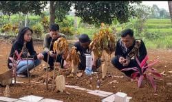 Jeritan Hati Keluarga Andini Korban Tewas Dianiaya Anak Anggota DPR, Minta Pelaku Dihukum Berat