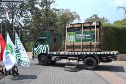 Banteng Taman Safari Prigen Dilepaskan ke Taman Nasional Blauran