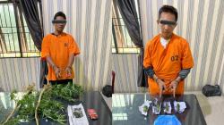 Edarkan Ganja, 2 Pria di Karo Mendekam di Jeruji Besi