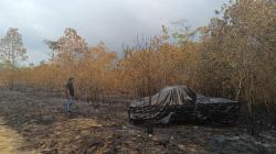 Kebakaran Lahan di Bangka Barat Ikut Hanguskan Mobil Pikap