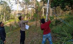 Pria di Malang Gantung Diri di Atas Pohon Rambutan, Diduga Masalah Asmara