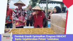 Pemkab Gresik Optimalkan Program DBHCHT  Bantu Sejahterakan Petani Tembakau