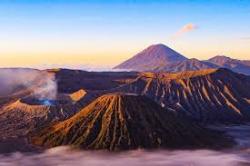 Kawasan Bromo Kembali Menghijau Usai Kebakaran