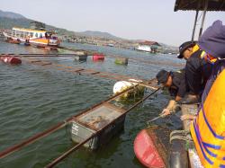 Belasan Ribu Keramba Jaring Apung di Waduk Cirata Jangari Ditertibkan Satgas Citarum Harum