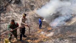 Puluhan Hektar Lahan Terbakar di Pugung