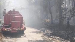 Kepulan Asap Kebakaran Hutan di Limbangan Garut Tutupi Akses Jalan Warga