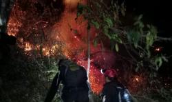 Gunung Arjuno Kembali Terbakar, Begini Penjelasan Kepala UPT Tahura Raden Soerjo