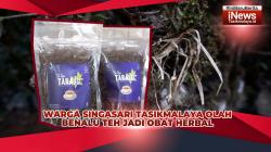 VIDEO: Warga Taraju Tasikmalaya Olah Benalu Teh Jadi Obat Herbal, Dipercaya Tingkatkan Vitalitas