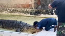 Mogok Makan di Penangkaran, Buaya Riska Akan Dikembalikan ke Habitatnya di Bontang