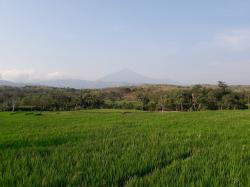 Menikmati Hijau Alam Pegunungan Pemalang Selatan di Kaki Gunung Slamet, Wisata Gratis untuk Healing