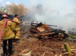 Waduh, Dua Ekor Sapi di Toroh Alami Luka Bakar Akibat Kandangya Terbakar