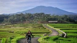 Harga Tiket Masuk Ciboer Pass Majalengka, Destinasi Wisata Hamparan Sawah Terasering nan Cantik