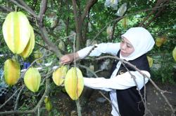 Dikunjungi Khofifah, Agrowisata Petik Belimbing Karangsari Jadi Destinasi Wisata Andalan Kota Blitar