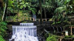 20 Curug di Majalengka Punya Panorama Eksotis, Sayang untuk Dilewatkan