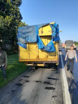 Kecelakaan Maut di Jalan Tol Balmera Bandar Selamat, Satu Orang Tewas 