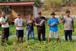 Lurah Kebonsari Terus Berupaya Ciptakan Inovasi Kelurahan Bersama Kelompok Tani Kesemek