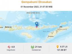 Gempa Terkini  Guncang Nagekeo NTT M 4,9 Pusat di Laut Tidak Berpotensi Tsunami