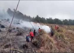 Kerugian Kebakaran Gunung Bromo Gegara Flare Mencapai Rp 741 Miliar