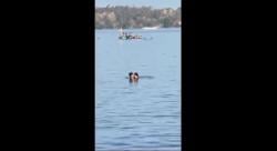 Viral! Video Mesum Dua Sejoli di Pantai Mattirotasi Parepare