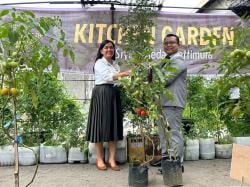 Dukung Program Urban Farming, ibis Styles Medan Pattimura Luncurkan Kitchen Garden