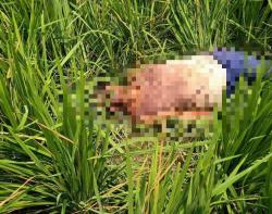 Pamit Mengairi Sawah, Petani di Probolinggo Ditemukan Tewas Dengan Luka Bacok