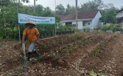 Sukses di Gunungkidul, Kini Dompet Dhuafa Ajak Warga Magelang Budidaya Aloevera