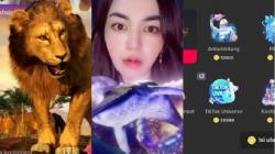 Begini Cara Menukar Koin TikTok jadi Uang