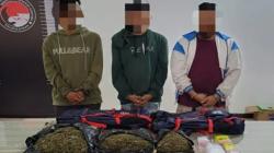 Gulung Sindikat Pengedar Narkoba Jaringan Samarinda, Polres Kukar Sita 2 Kg Ganja