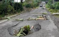 Protes Jalan Rusak Warga di Bener Meriah Tanam Pisang di Lubang Jalan