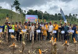 Tingkatkan Ketahanan Pangan, Kapolres Bersama Pj Bupati Pidie Panen Jagung di Gampong Cot Tunong