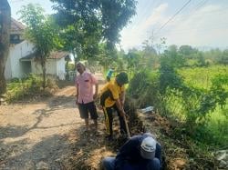 Permudah Akses Warga, Pemdes Bucor Kulon Kerja Bakti Bersih Bersih Jalan