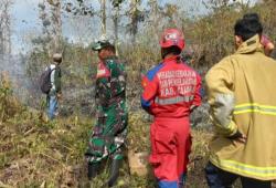 186 Peristiwa Kebakaran Hutan dan Rumah Terjadi di Ciamis Selama Tahun 2023