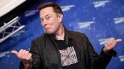 Dukung Palestina, Apple hingga Disney Kompak Boikot Elon Musk