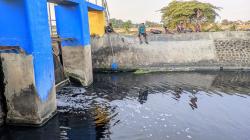 Sungai Avur di Sidoarjo Keluarkan Bau Busuk, Air Berubah Hitam hingga Banyak Ikan Mati