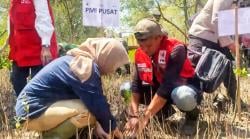 PMI Resmikan Pusat Mangrove Manggarai sebagai Inisiatif Mitigasi Hijau