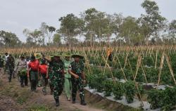 Dukung Ketahanan Pangan, Danrem 174/ATW Tinjau Lahan Yonif 757/GV di Kampung Ivimahad