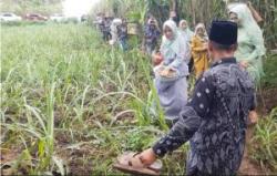 Viral, Rombongan Besan Berjuang Bawakan Hantaran Manten, Harus lewat Sawah Pakai Batik dan Kebaya