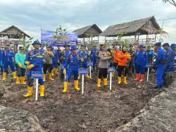 BEM Sekodum Apresiasi Giat Penanaman Mangrove, Ikhsan: Tanaman Mangrove Penting Buat Pantai Dumai