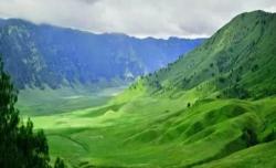 Padang Savana Gunung Bromo Makin Cantik Mirip Swiss usai Terbakar, Ini Penjelasan Ilmiahnya