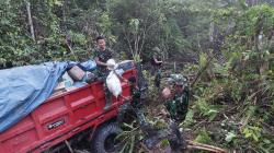 Satgas Yonif 122/TS Bantu Evakuasi Mobil Truk Coldisel Masuk Jurang di Jalan Lintas Jayapura-Wamena