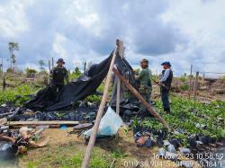 Tim Gabungan Tertibkan Ratusan Hektare Kebun Liar di TNTN