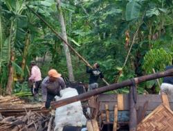 Satu Rumah Roboh dan Pohon Tumbang Diterjang Angin Kencang dan Hujan di Grobogan