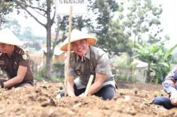 Pj Wali Kota Cimahi Serahkan Bantuan 5000 Bibit Cabe dari Bank Indonesia