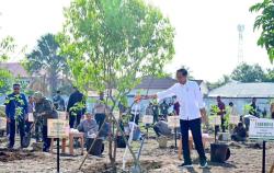 Ini Alasan Presiden Jokowi Dorong Pohon Cendana untuk Terus Ditanam di Kupang