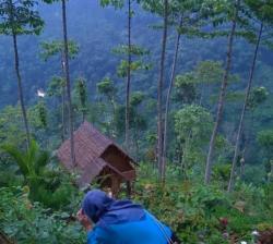 Catat, Luas Hutan Sosial di Jatim Per September 2023 188.370,98 Hektare