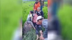 Seorang Petani Tewas Tersambar Petir Saat Sedang Bekerja di Sawah